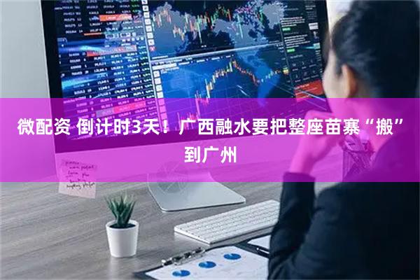 微配资 倒计时3天！广西融水要把整座苗寨“搬”到广州