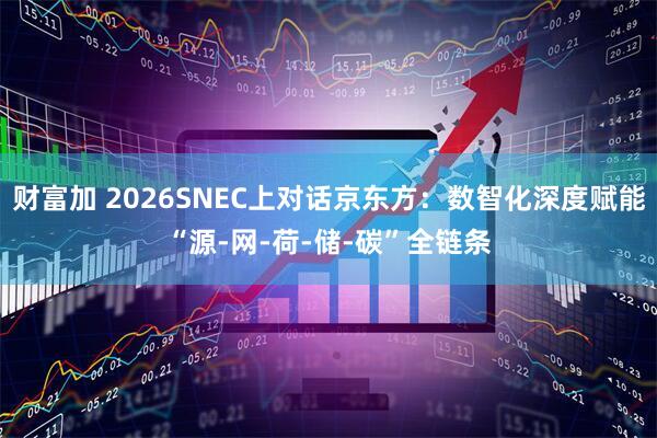 财富加 2026SNEC上对话京东方：数智化深度赋能“源-网-荷-储-碳”全链条